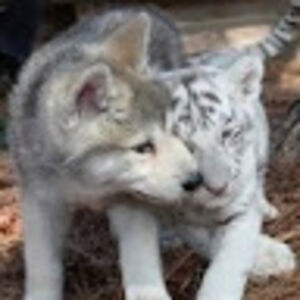 tabithaeaster avatar