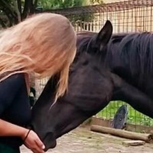 irislambrechts avatar