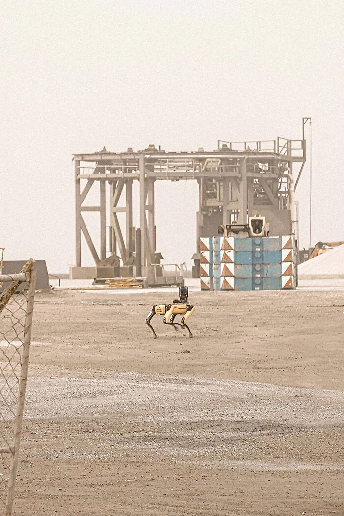 Spacex ya tiene perros robot patrullando su fábrica de cohetes