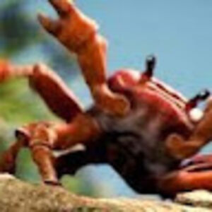 tristanjohnson avatar