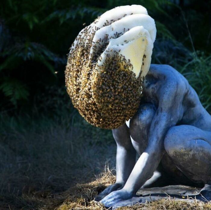 Esta estatua con una colmena por cabeza