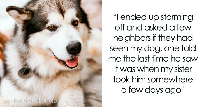Woman Kicks Out Her Pregnant Sister From Apartment Because She Threw Out Her Husky, Faces Backlash From Family