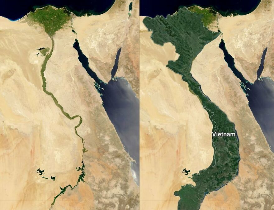 Egypt / Vietnam