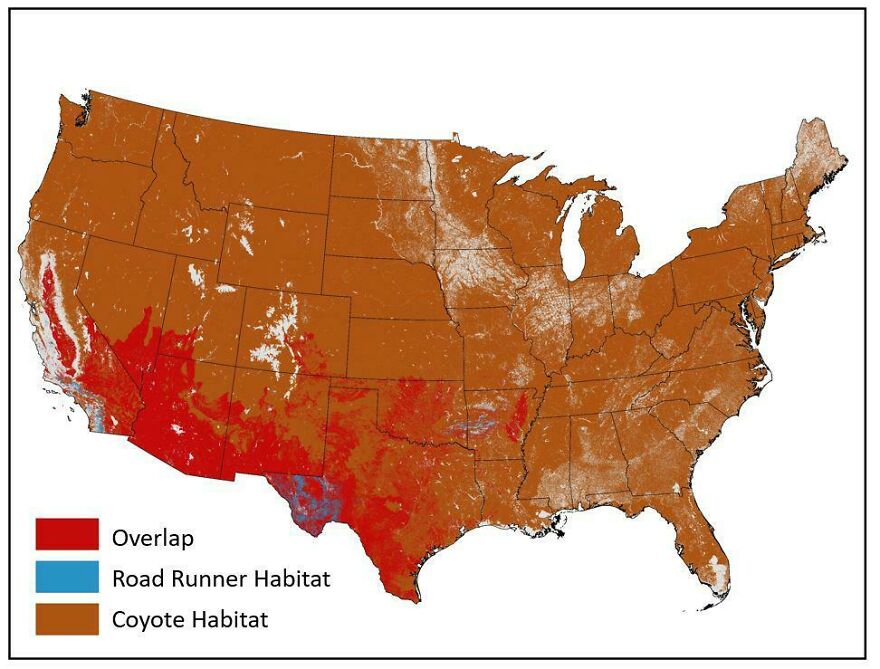 Potential Locations For The Antics Of Wild E. Coyote And Roadrunner Based On Usgs Habitat Data