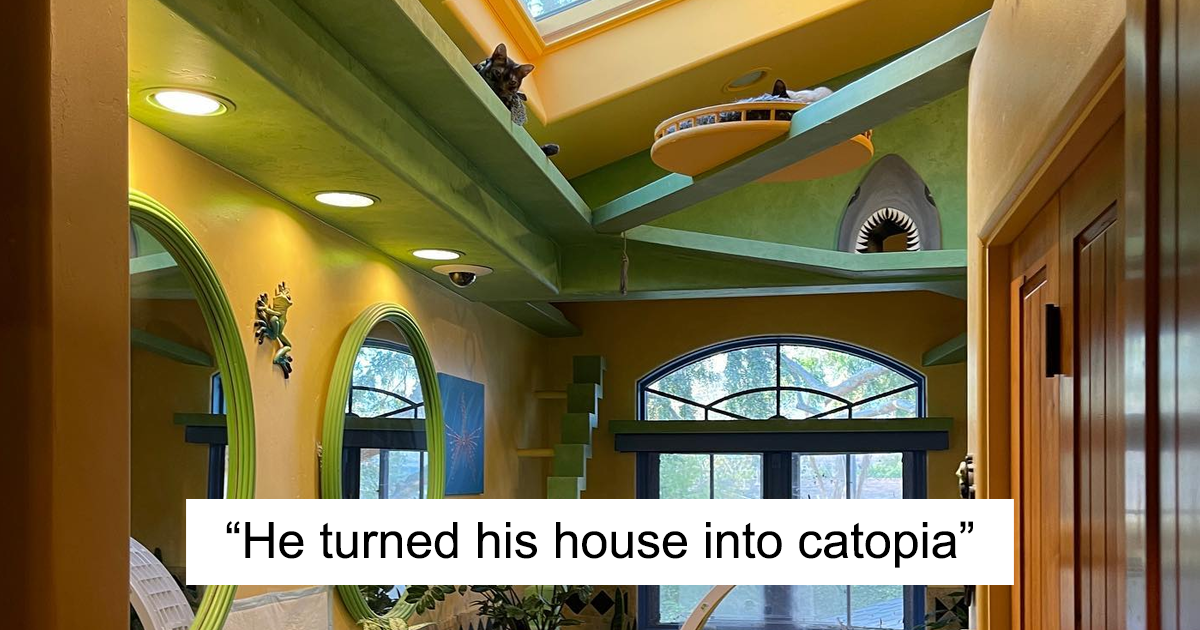 This Man Designs A Purrfect House For His 20-Plus Rescue Cats - Vimarsana News