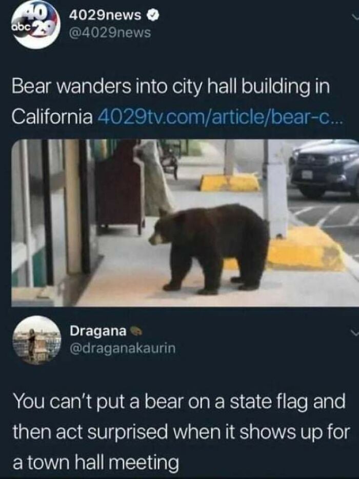 Yeah! Let The Bear In, He Is Your Mascot After All.
