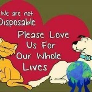 Julia Beiswenger Dunn