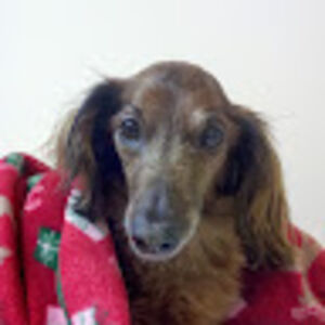 chasplantamura avatar