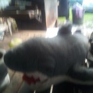 karenroscioli21 avatar