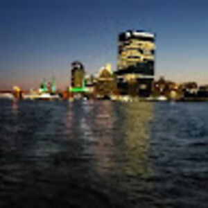 calitomichigan avatar