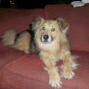 magdelenastormrose avatar