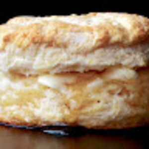 majesticbiscuit avatar