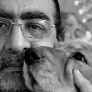 abdelkawy_yasser avatar