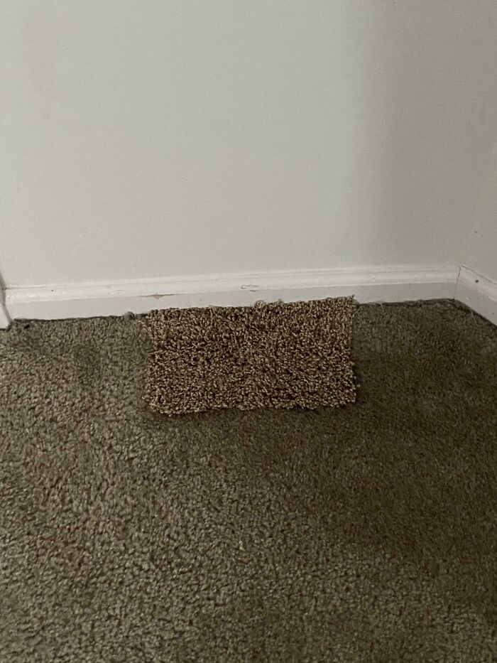 Just Moved Into A New Home And Found Where The Landlord Patched The Carpet