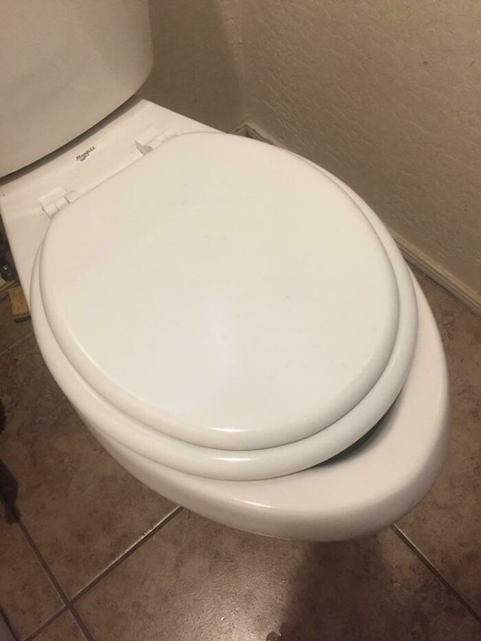 Roommate Broke The Toilet Seat. No Worries Though. He Replaced It