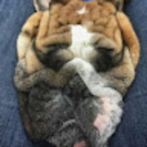 sethpikemartinstudent avatar