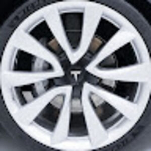 gabrielgingras avatar