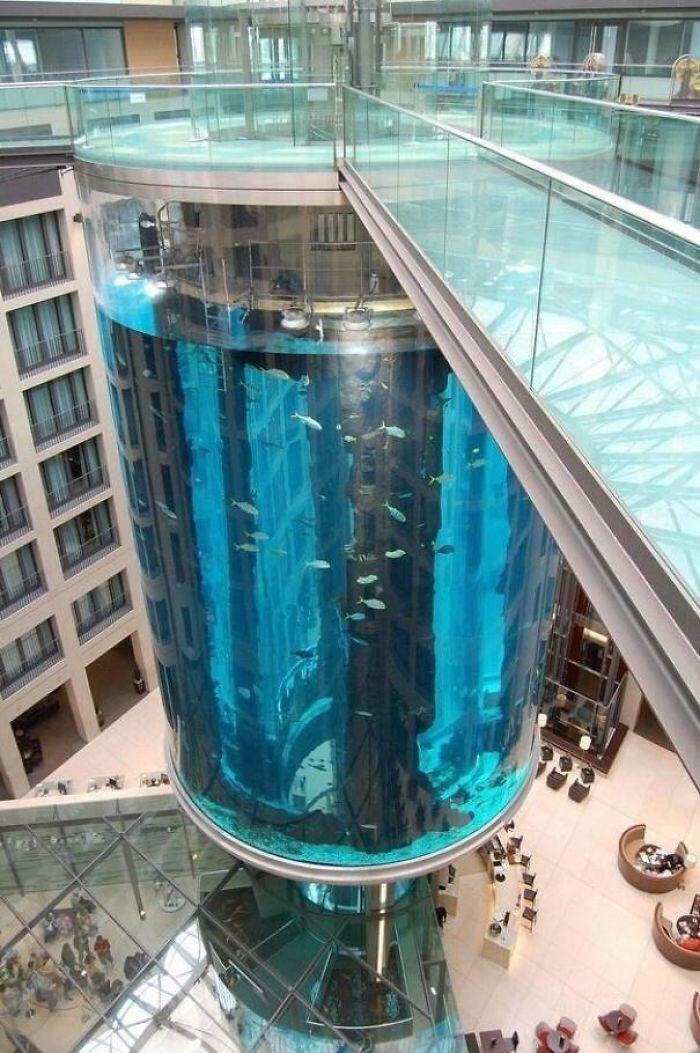 En Alemania hay un ascensor que tiene un acuario en su interior
