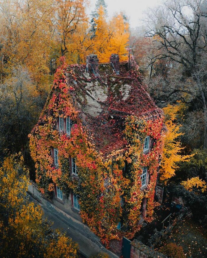 This House Covered With Overgrown Ivy In The Botanischer Garten Gießen, The Oldest Botanical Garden In Germany