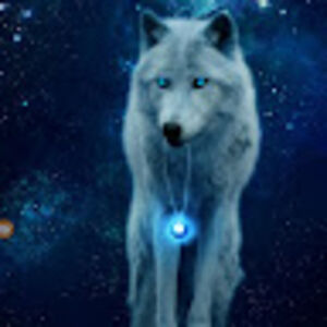 xxshadowlegendxx avatar