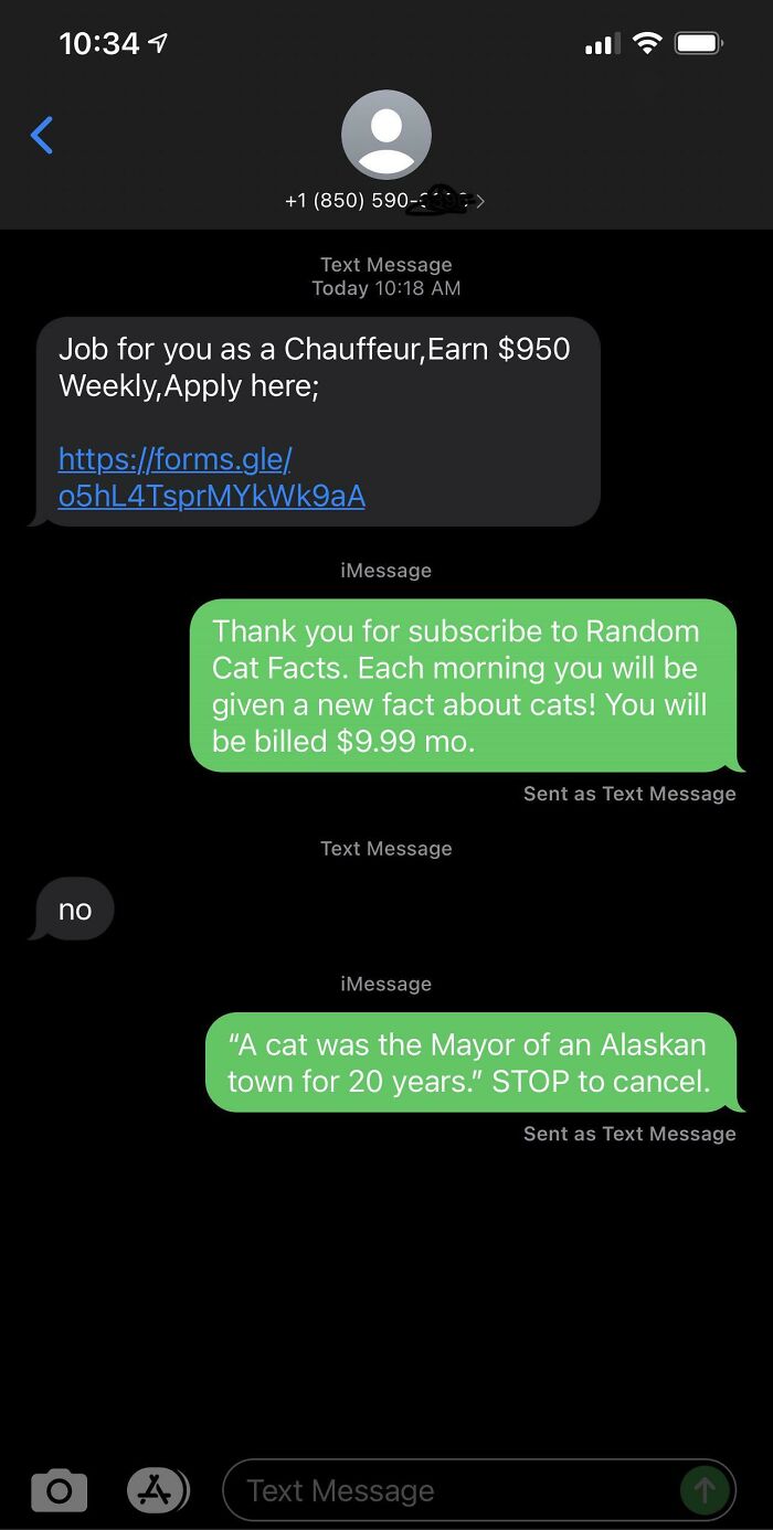 Scam Text Message. Tricking Them With Cat Facts!