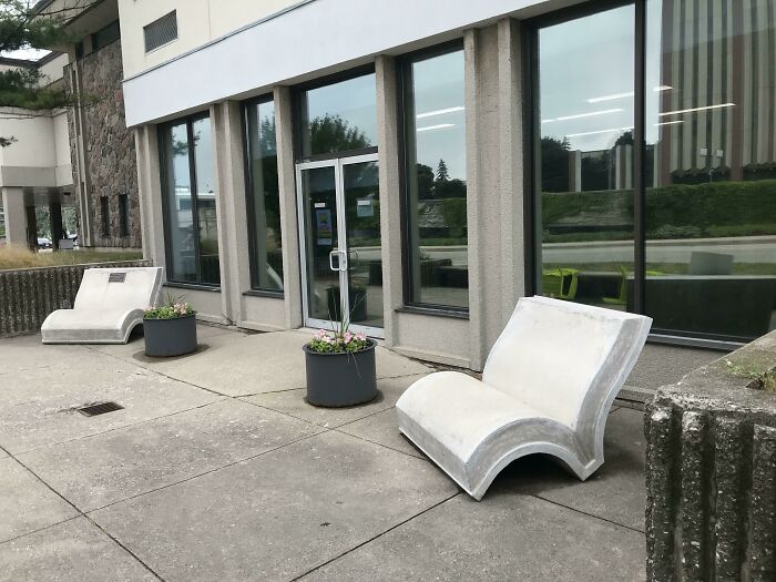 The Benches At My Local Library Are Books