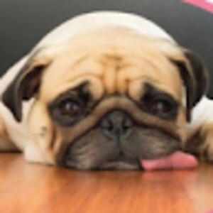 cadenrichardson avatar