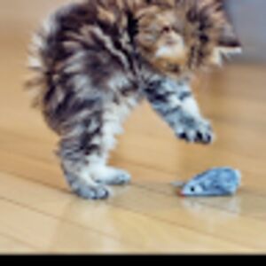 evelinmendozasoto avatar