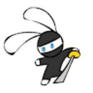 secretbunnyninja avatar