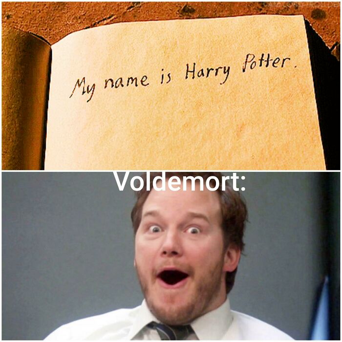 My Name Is Harry Potter