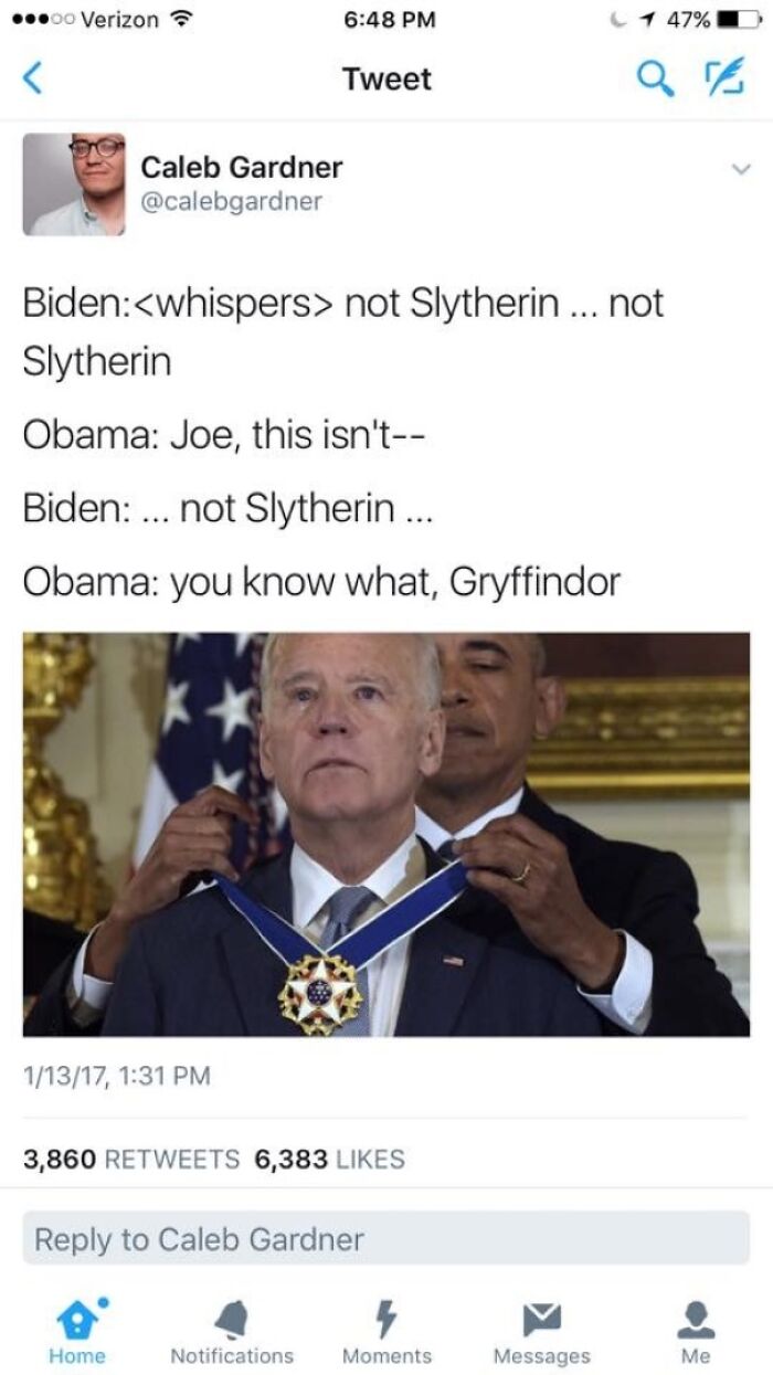 Not Slytherin, Not Slytherin