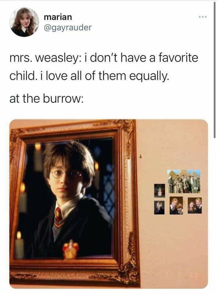 Harry Potter, Honorary Weasley