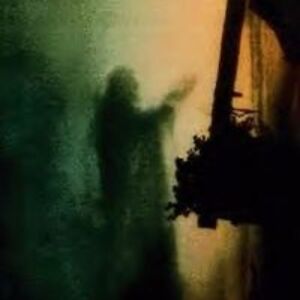 nutzaboutredwings avatar