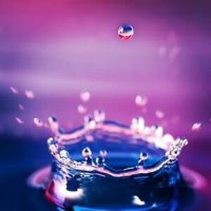 lilek_motylek88 avatar