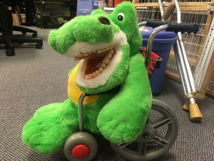 Another Dental Prop. I Used This Alligator, I Named Him Alvin, To Teach Oral Hygiene To Preschoolers. It Was For A Nursing School Rotation