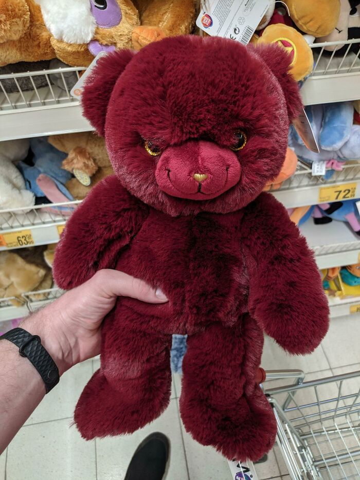 Evil Looking Teddy Bear I Found In The Children's Section