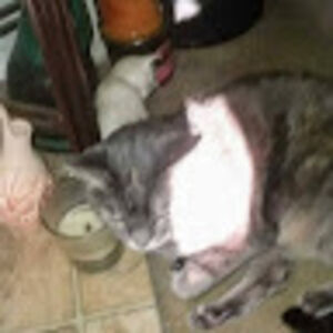 maryf_martinez avatar