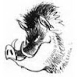 cezarmatkowski avatar