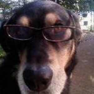 uniqueboutique4u avatar