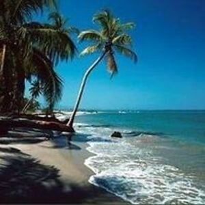 franklinchica avatar