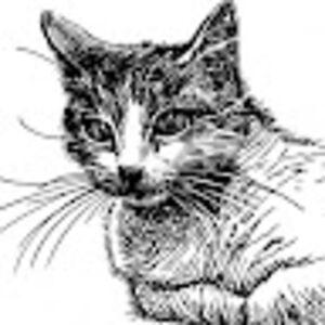 mackennashores avatar