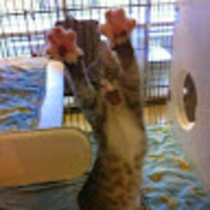 sabrinabrotherton avatar