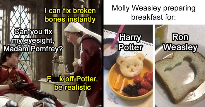 This Online Group Shares Funny Memes That Fans Of Harry Potter Might ...