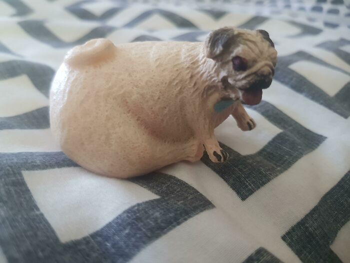 My Pug Grow-In-Water-Toy That Was Only Half In The Water