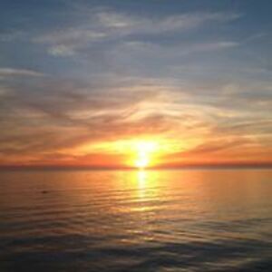 sheila_a_russell avatar