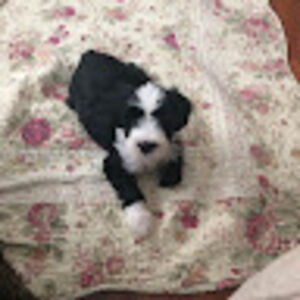 michaelhopkin_1 avatar