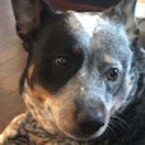 tjuyftutjyfudt avatar