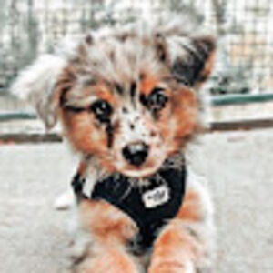 mykenziemadren avatar