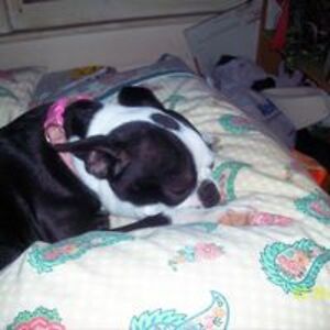 jennylovesgary2004 avatar