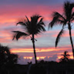 yiannakoronaki avatar